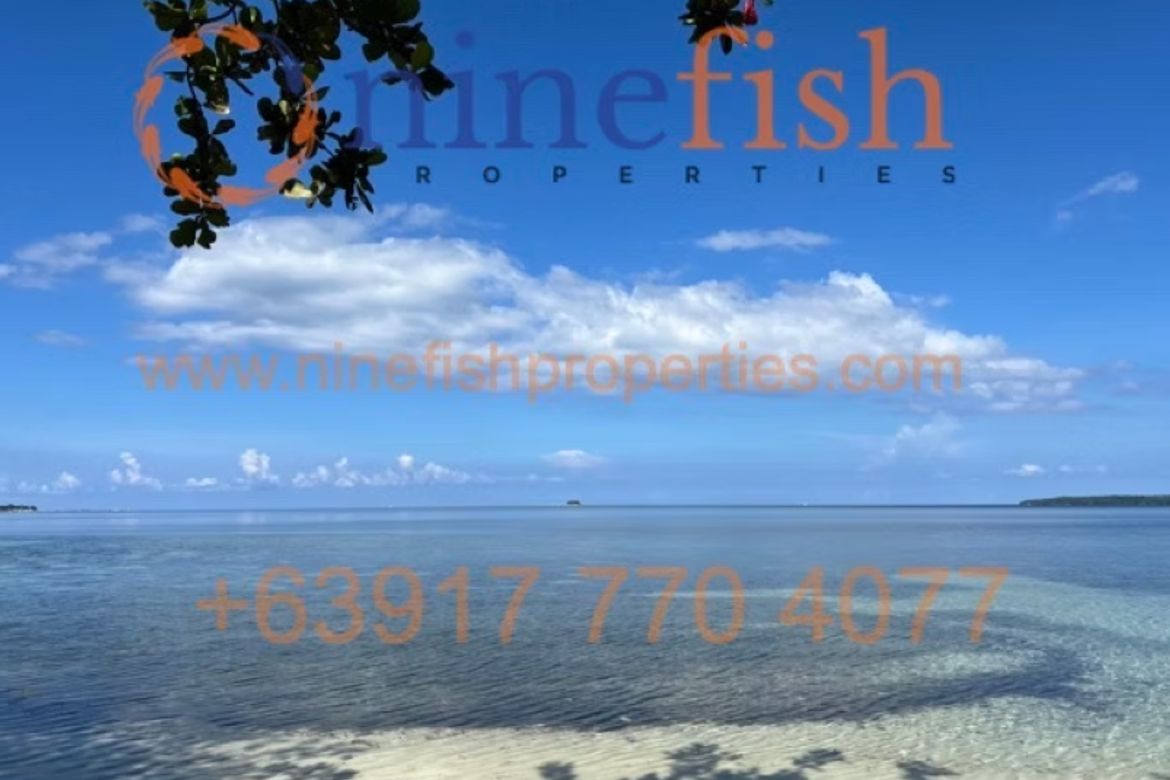 Land for Sale in Malinao, General Luna, Surigao del Norte – photo 8