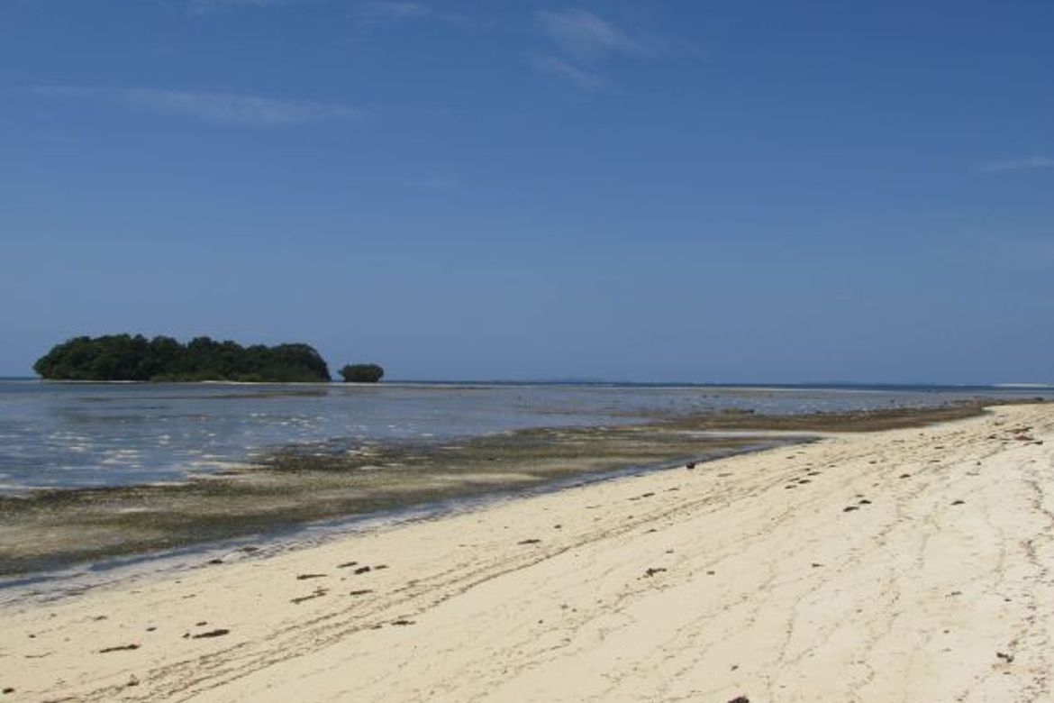 Land for Sale in Malinao, General Luna, Surigao del Norte – photo 2