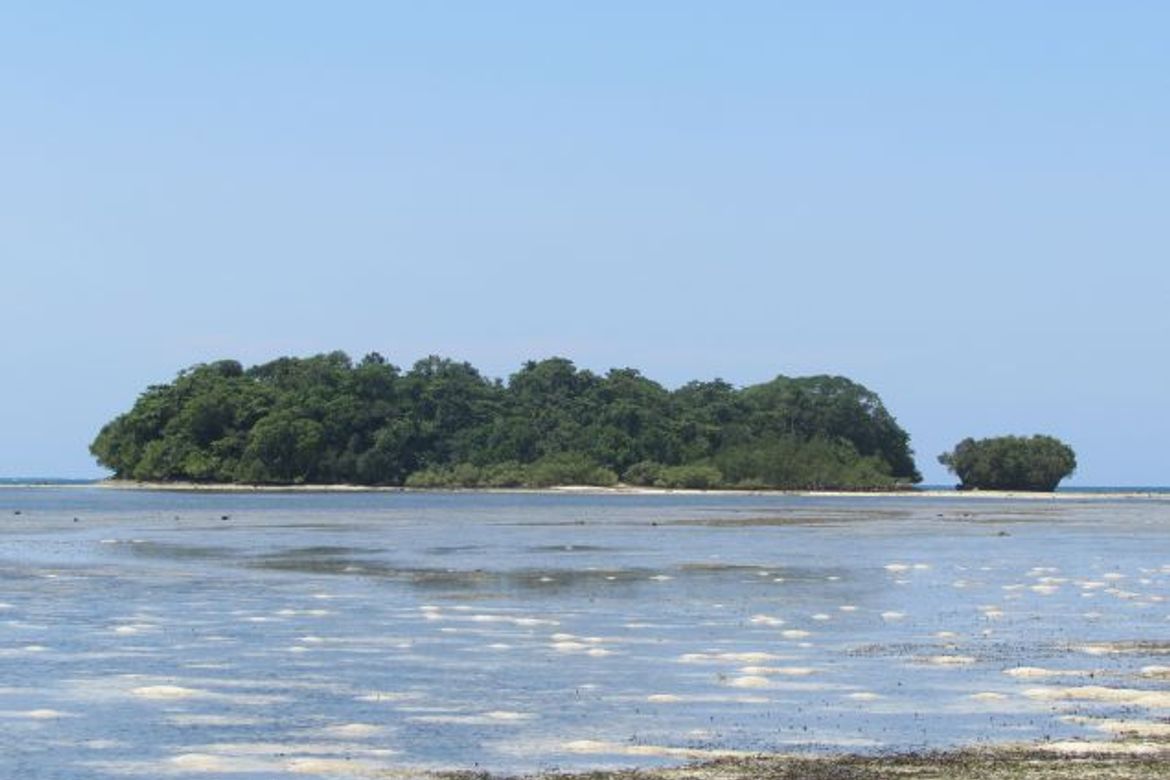 Land for Sale in Malinao, General Luna, Surigao del Norte – photo 4