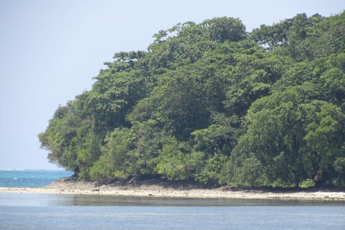 Land for Sale in Malinao, General Luna, Surigao del Norte – photo 8