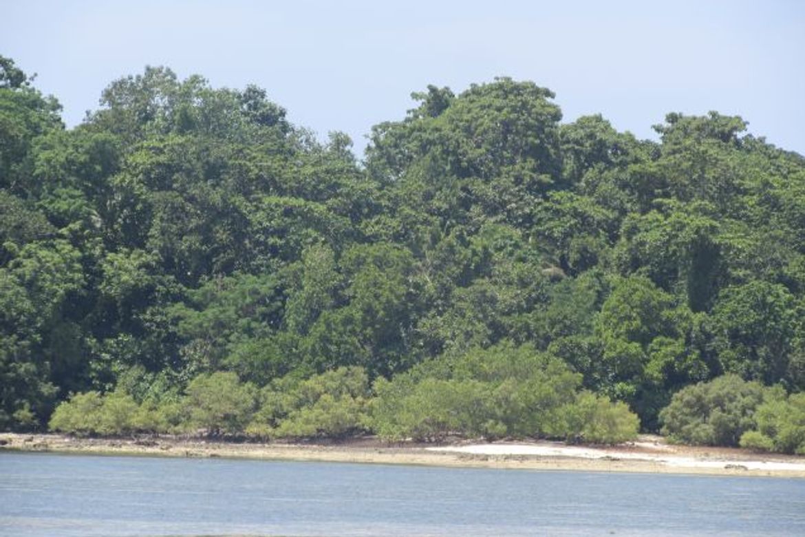 Land for Sale in Malinao, General Luna, Surigao del Norte – photo 9
