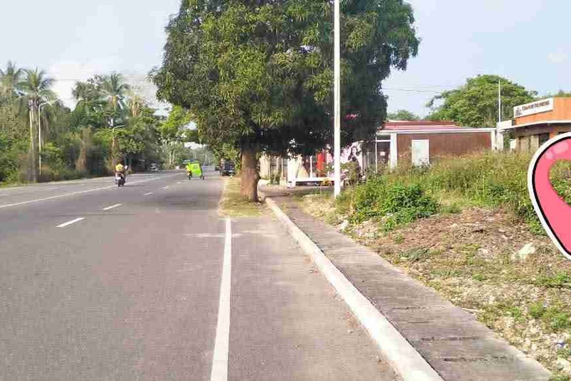 Land for Sale in Malingin, Bogo, Cebu – photo 2