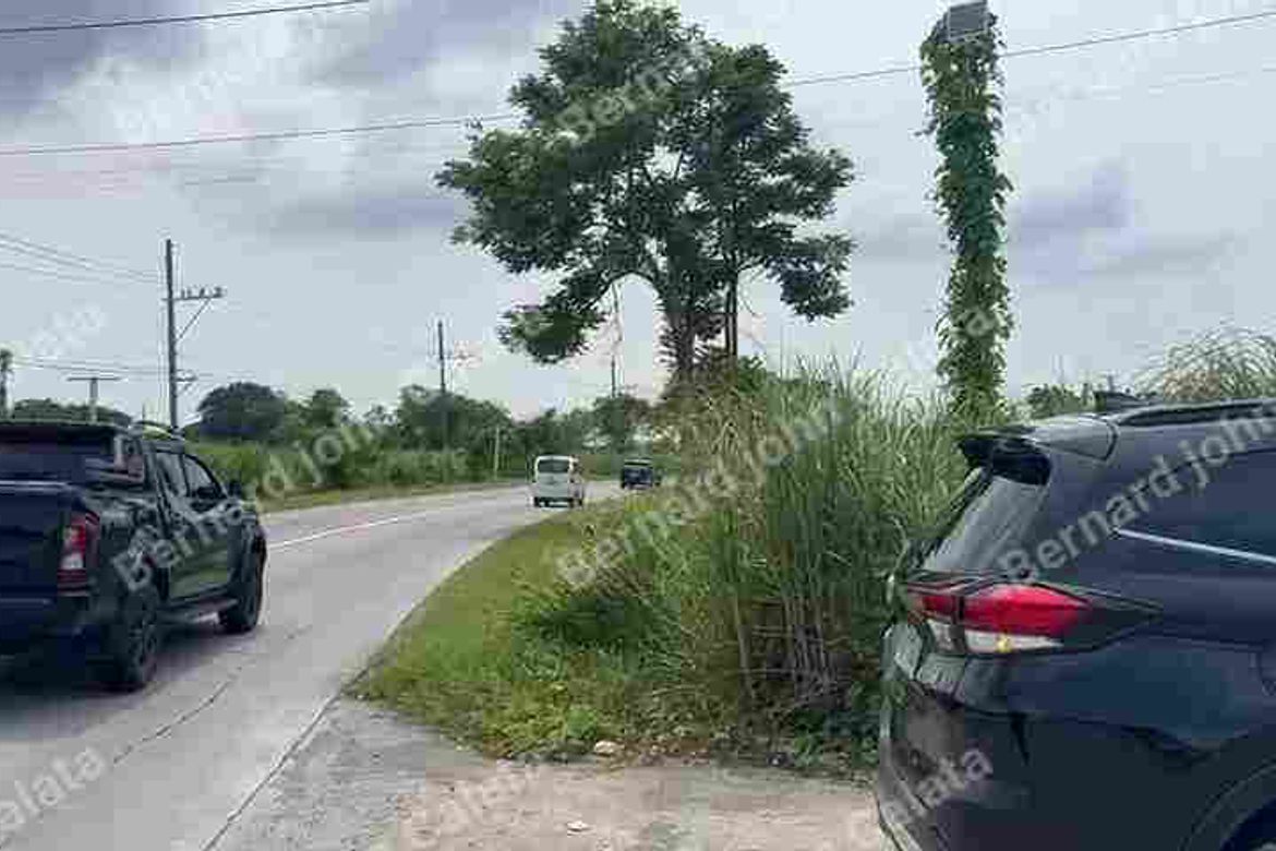 Land for Sale in Malitlit, Santa Rosa, Laguna – photo 5