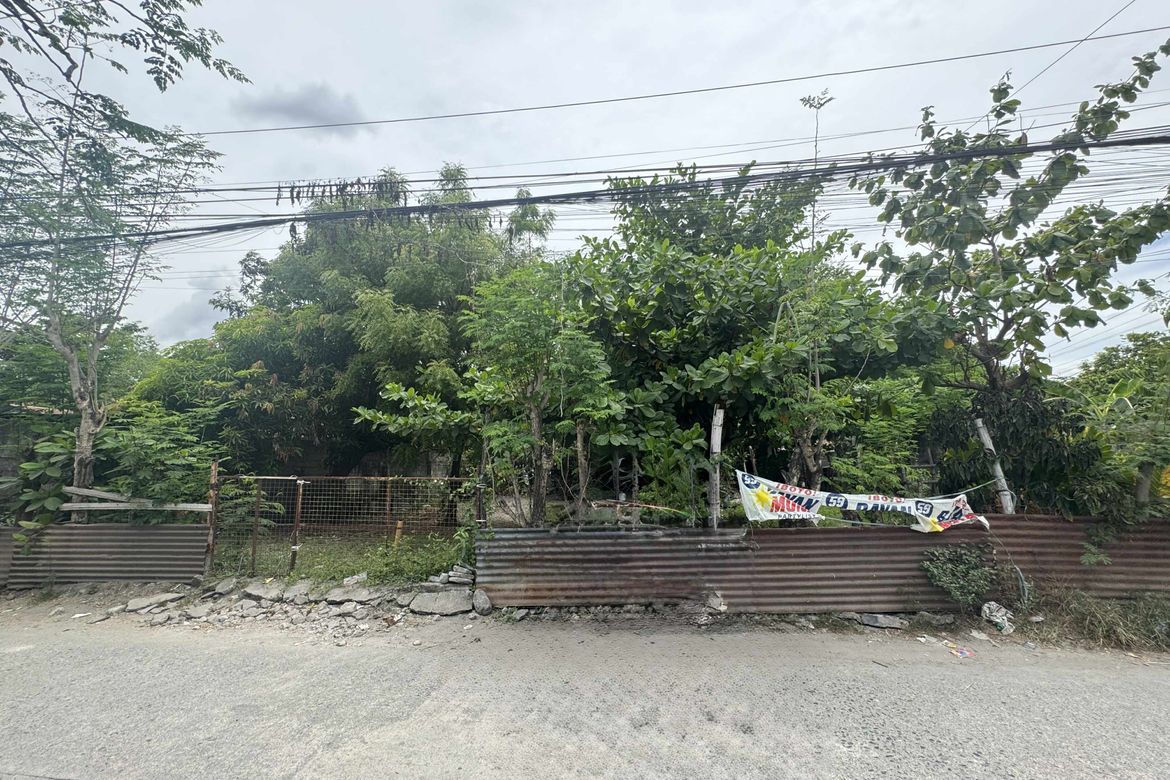 Land for Sale in Maliwalo, Tarlac, Tarlac – photo 2