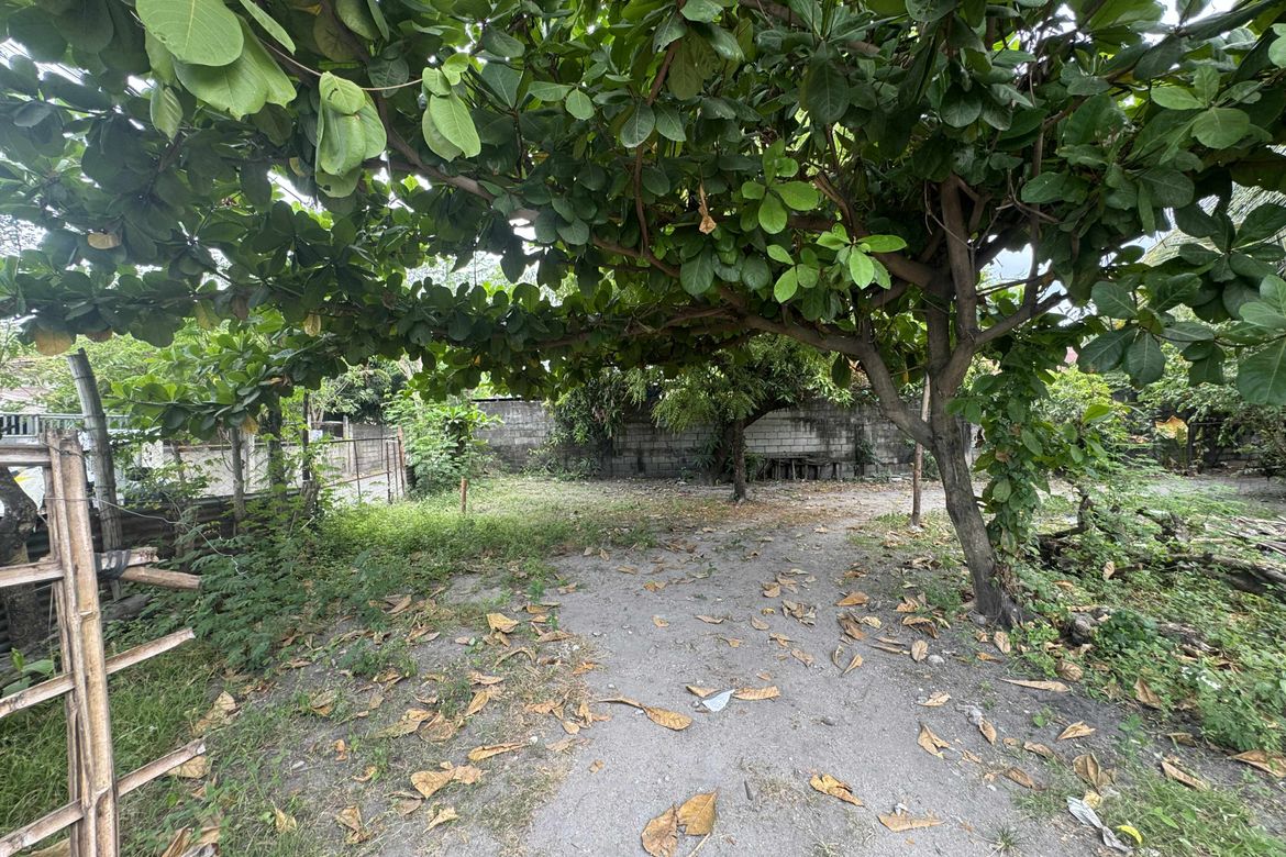 Land for Sale in Maliwalo, Tarlac, Tarlac – photo 6