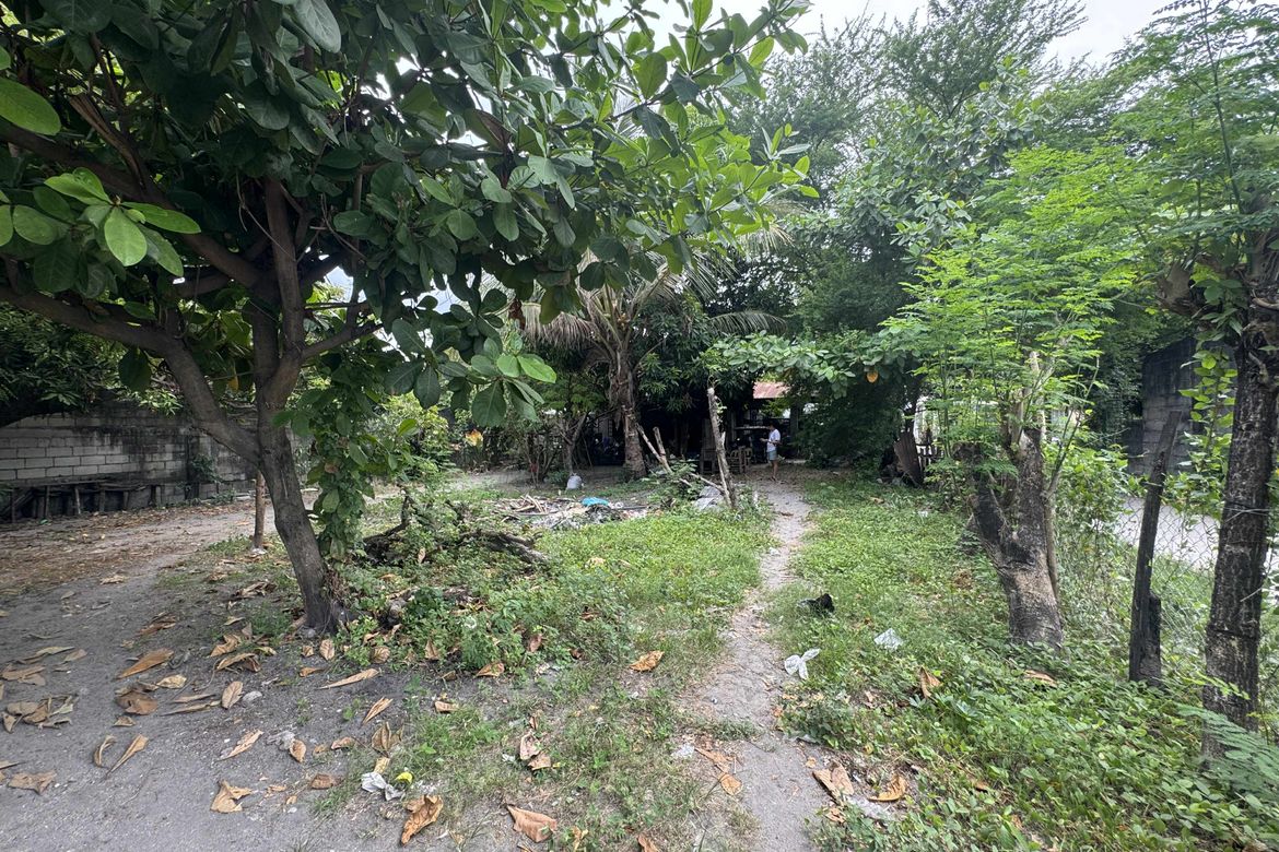 Land for Sale in Maliwalo, Tarlac, Tarlac – photo 8