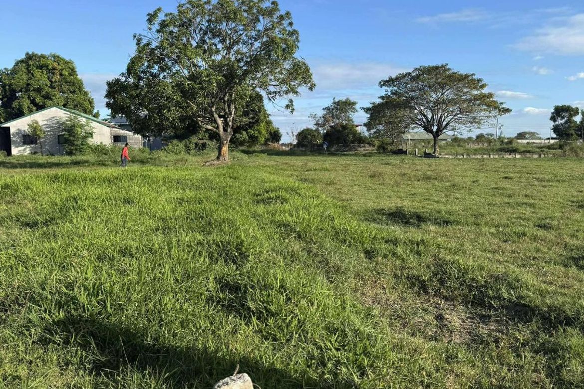Land for Sale in Maliwalu, Bacolor, Pampanga – photo 2