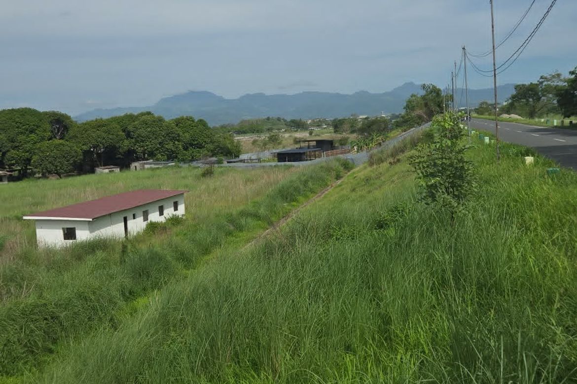 Land for Sale in Maliwalu, Bacolor, Pampanga