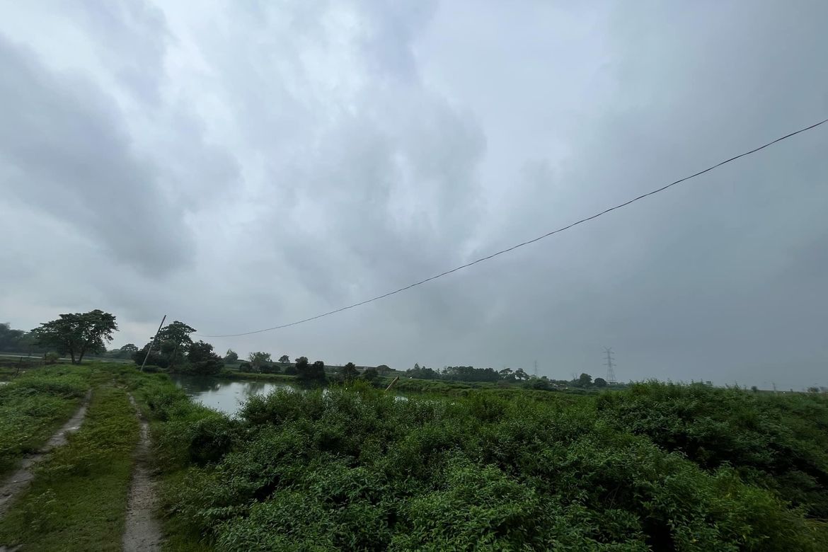 Land for Sale in Malonzo, Bamban, Tarlac – photo 5