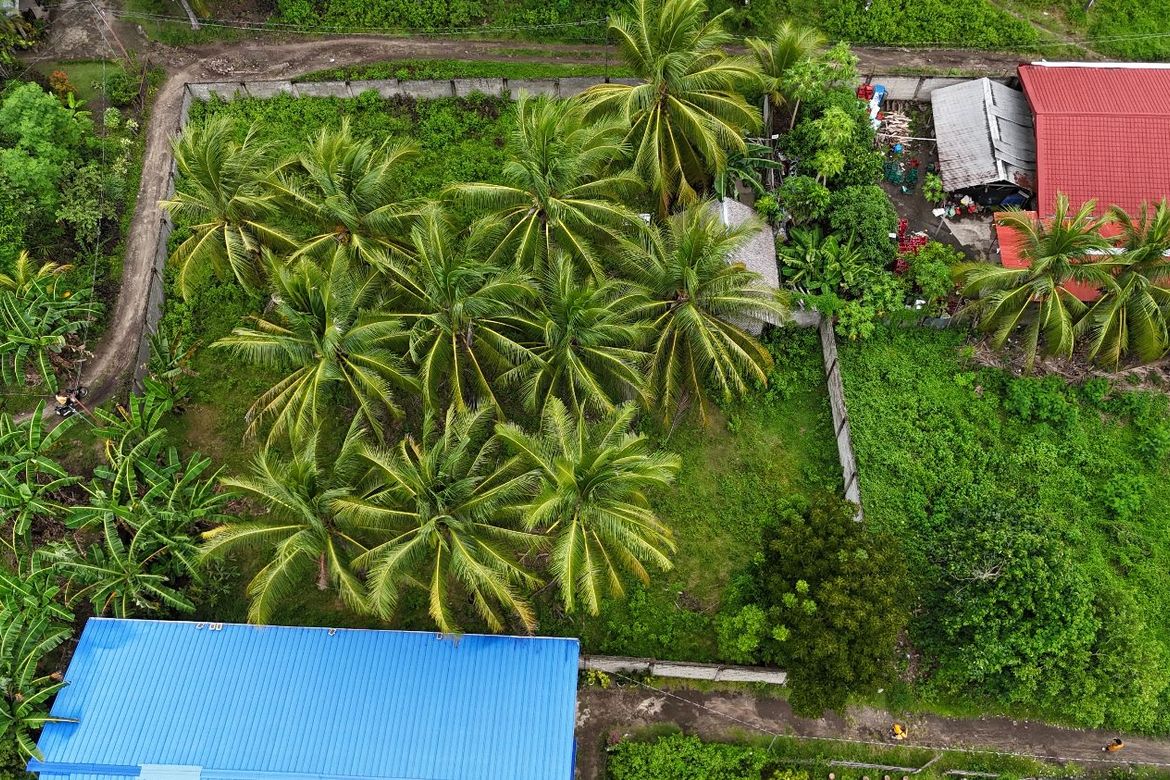 Land for Sale in Maluay, Zamboanguita, Negros Oriental