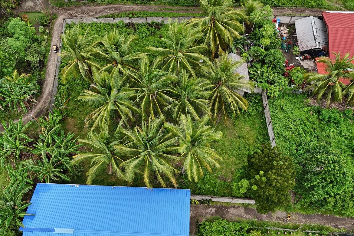 Land for Sale in Maluay, Zamboanguita, Negros Oriental – photo 2