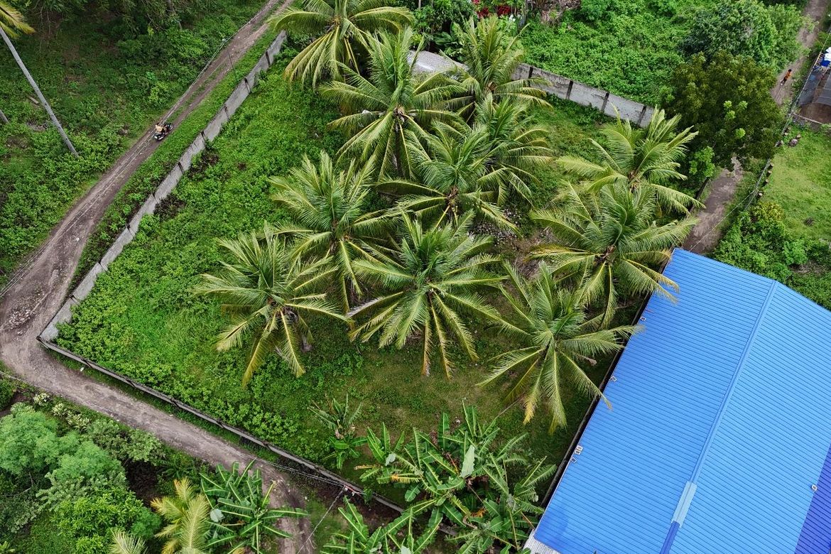 Land for Sale in Maluay, Zamboanguita, Negros Oriental – photo 3