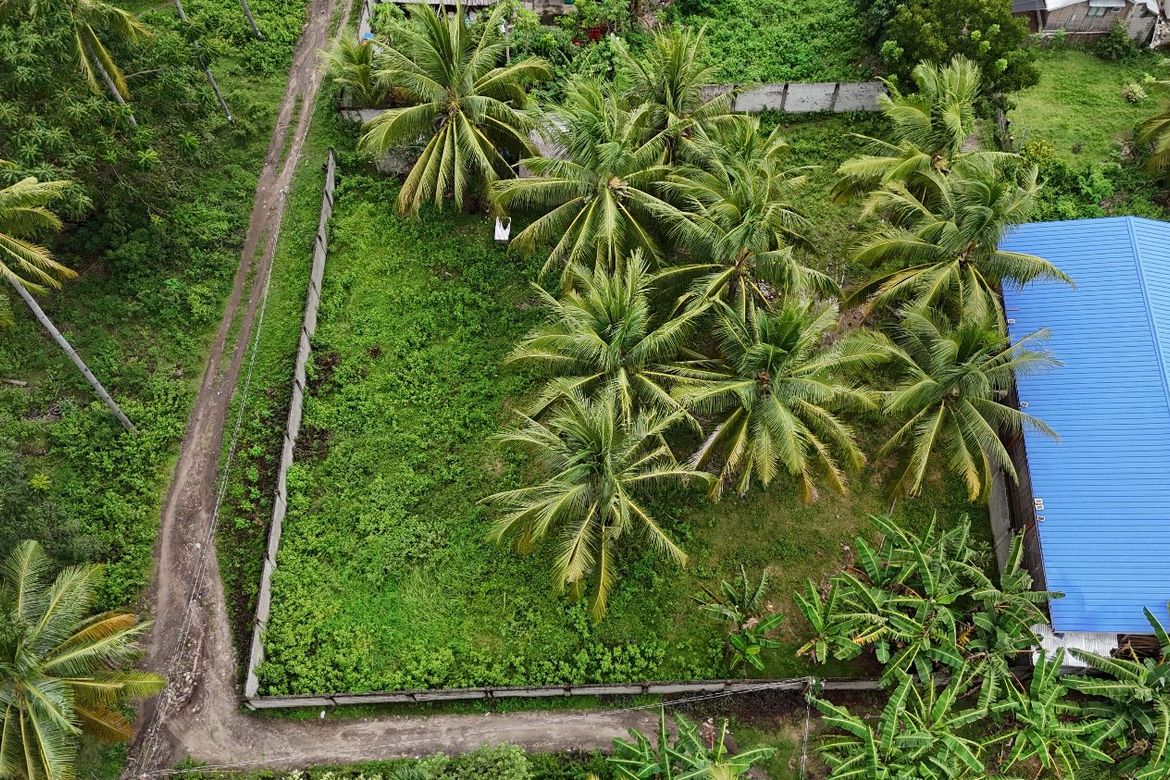 Land for Sale in Maluay, Zamboanguita, Negros Oriental – photo 4