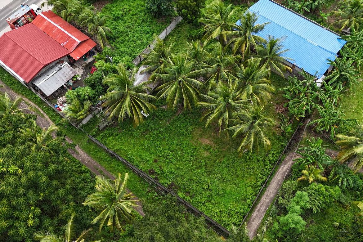 Land for Sale in Maluay, Zamboanguita, Negros Oriental – photo 5