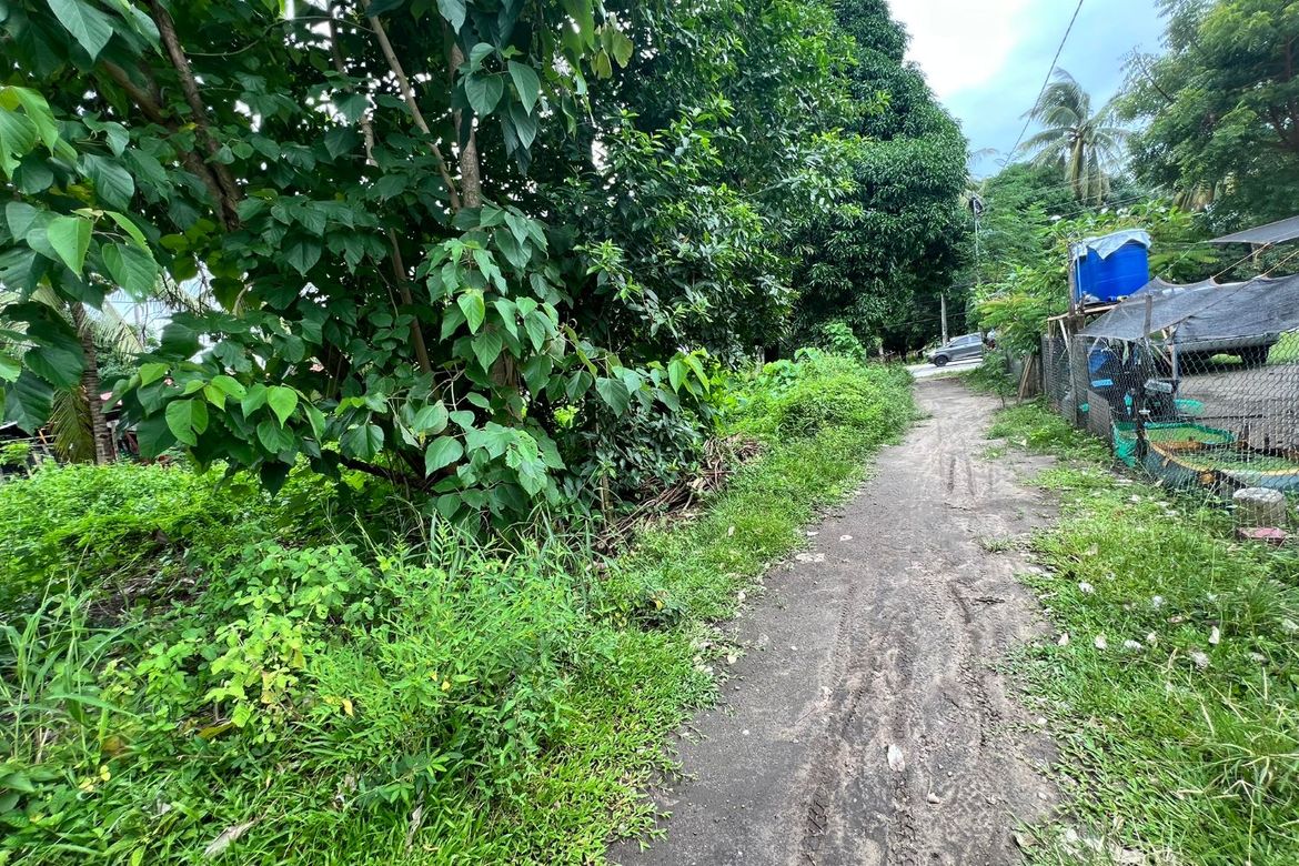 Land for Sale in Maluay, Zamboanguita, Negros Oriental – photo 6