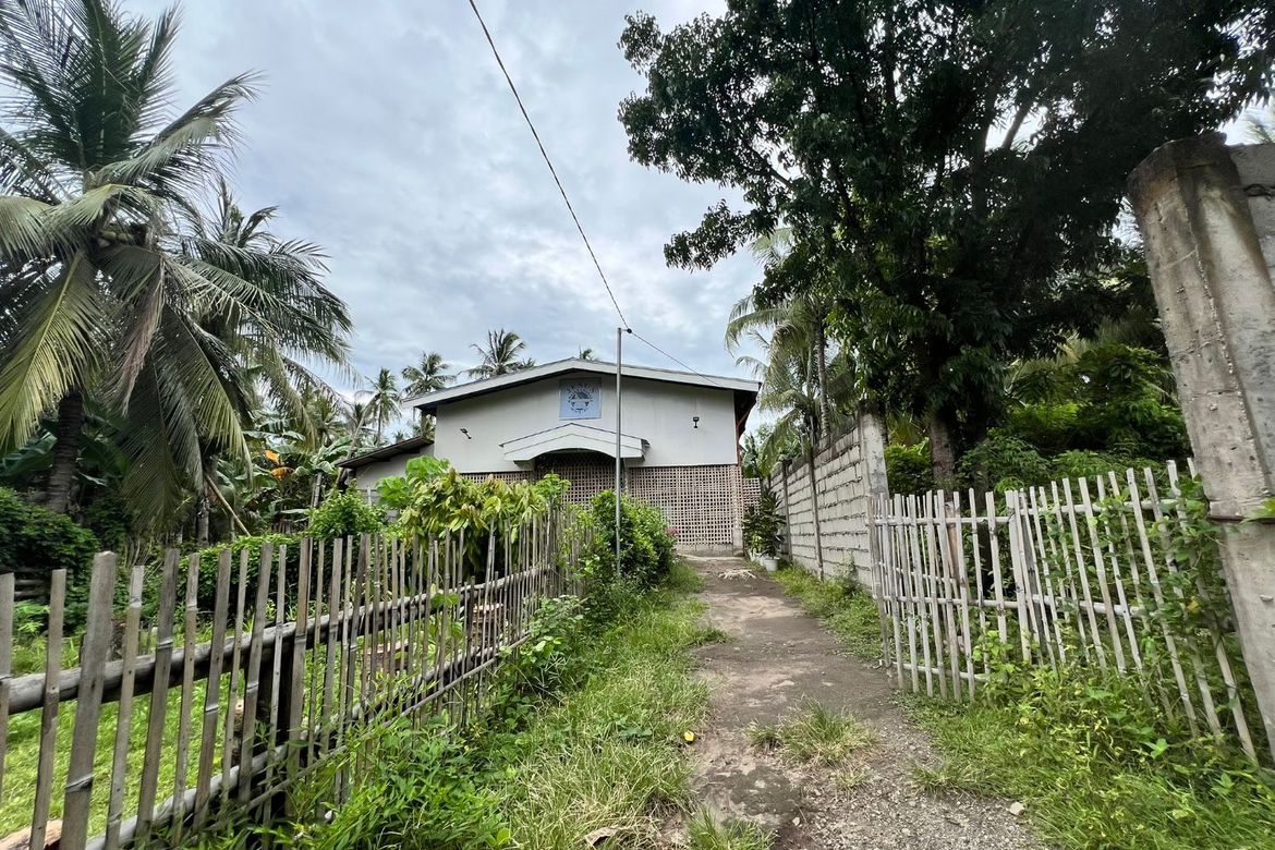 Land for Sale in Maluay, Zamboanguita, Negros Oriental – photo 7