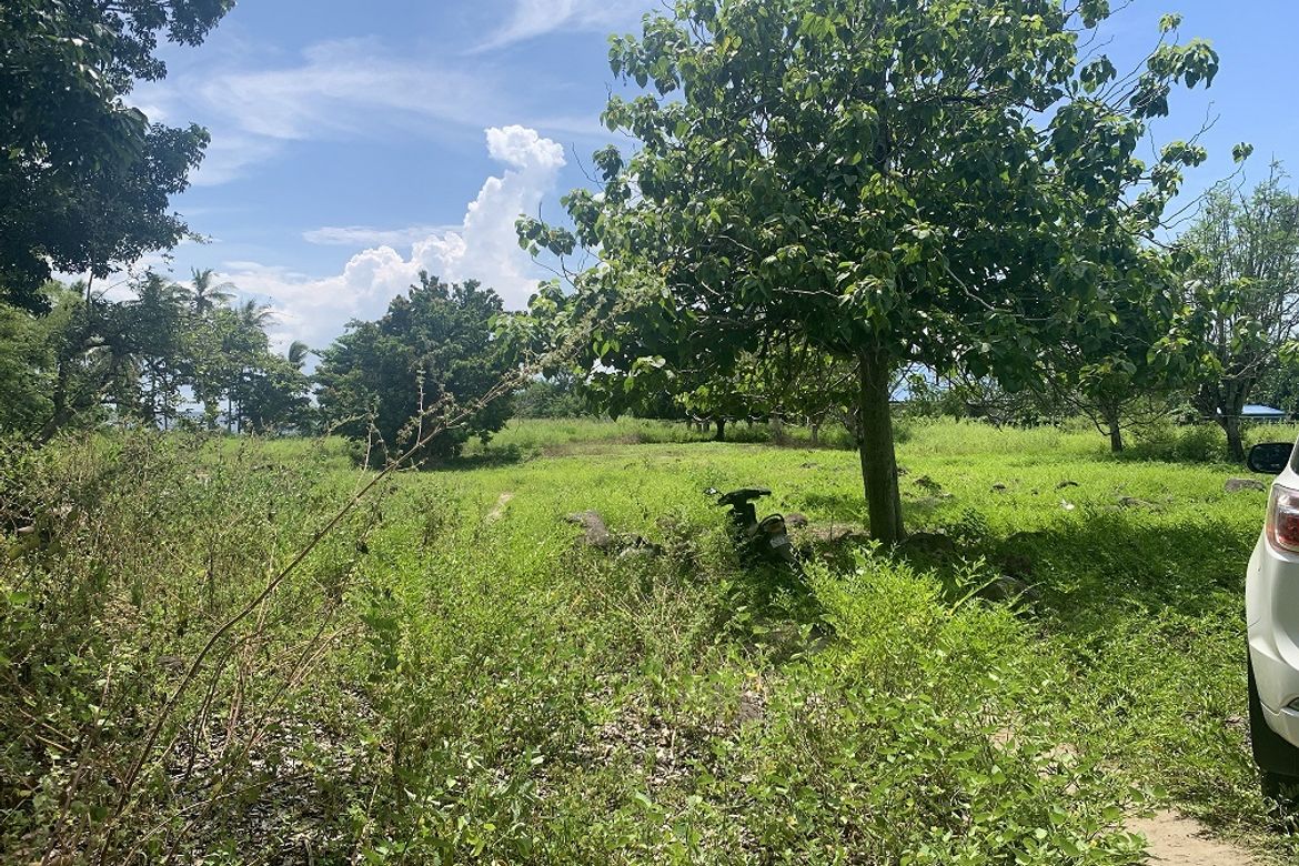 Land for Sale in Maluay, Zamboanguita, Negros Oriental – photo 2