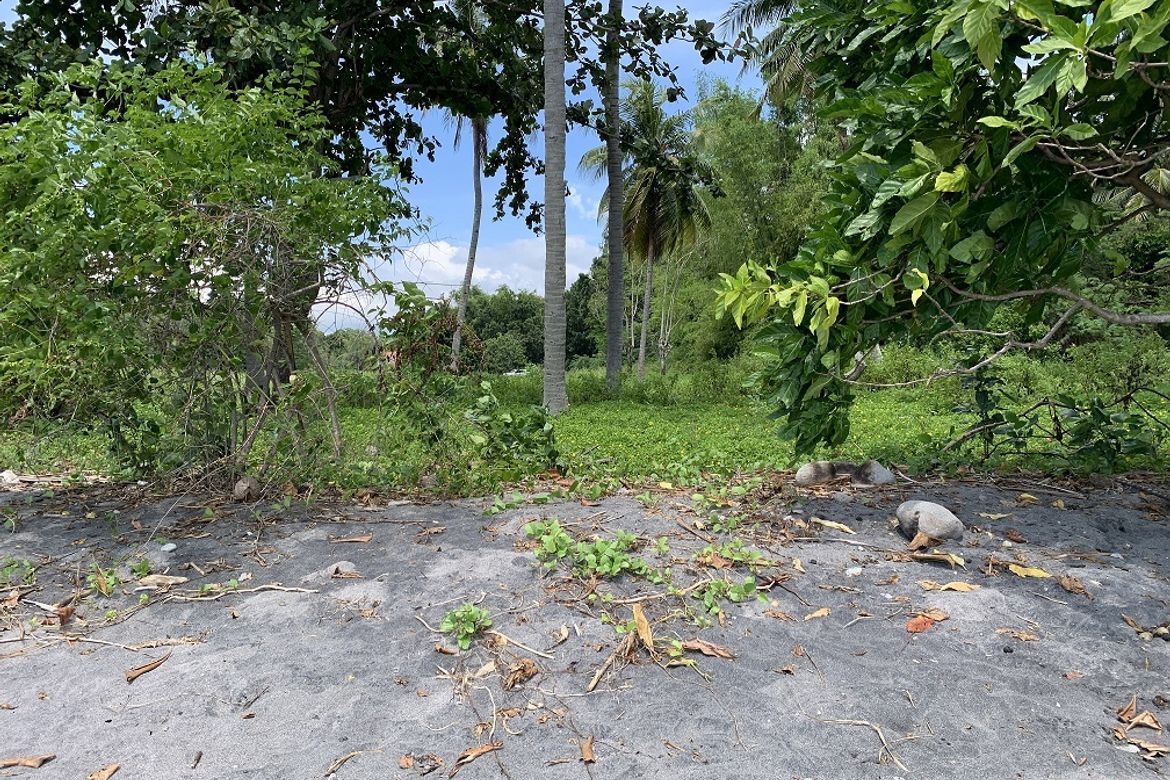 Land for Sale in Maluay, Zamboanguita, Negros Oriental – photo 3