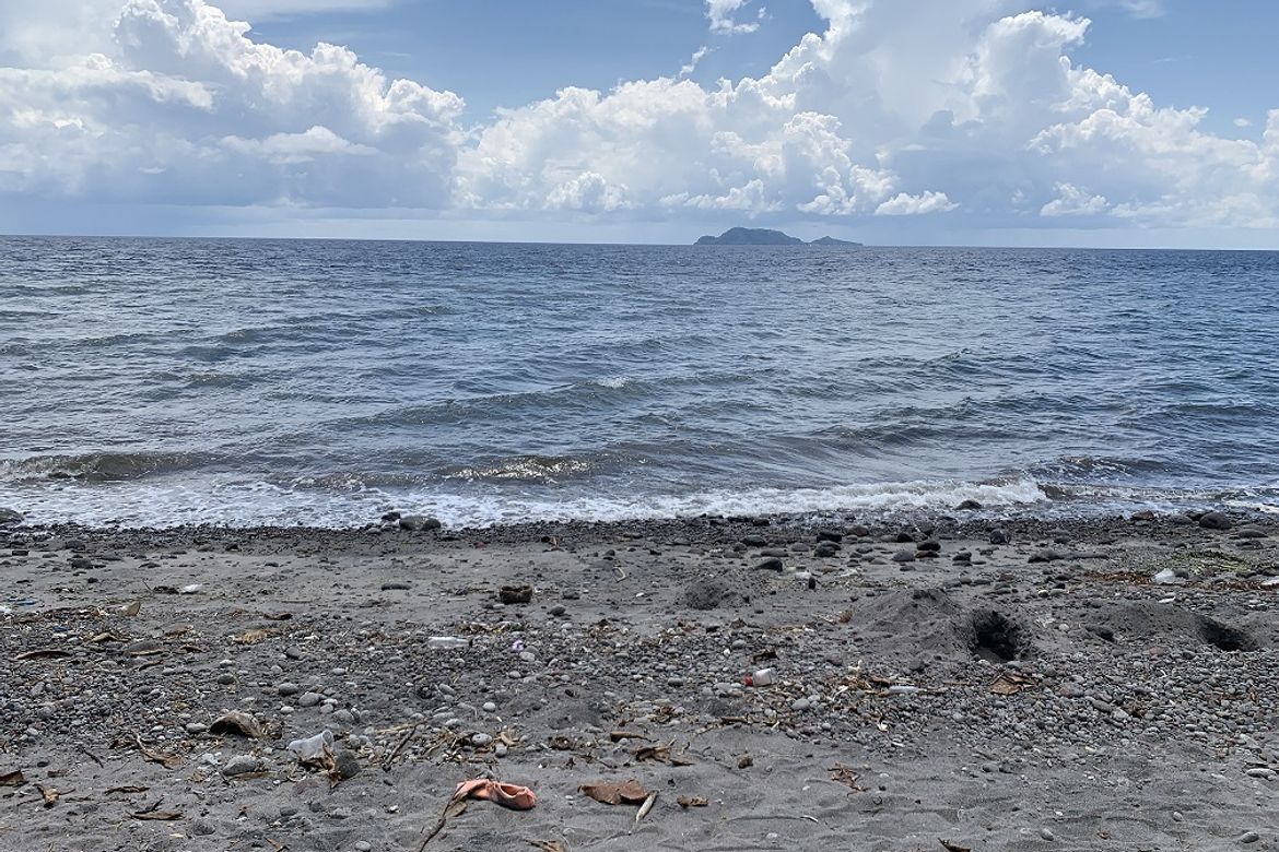 Land for Sale in Maluay, Zamboanguita, Negros Oriental – photo 4