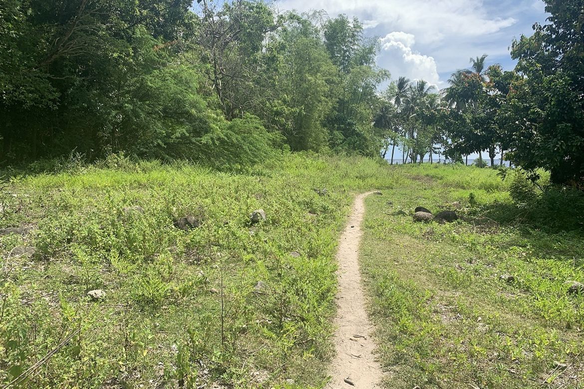 Land for Sale in Maluay, Zamboanguita, Negros Oriental – photo 6