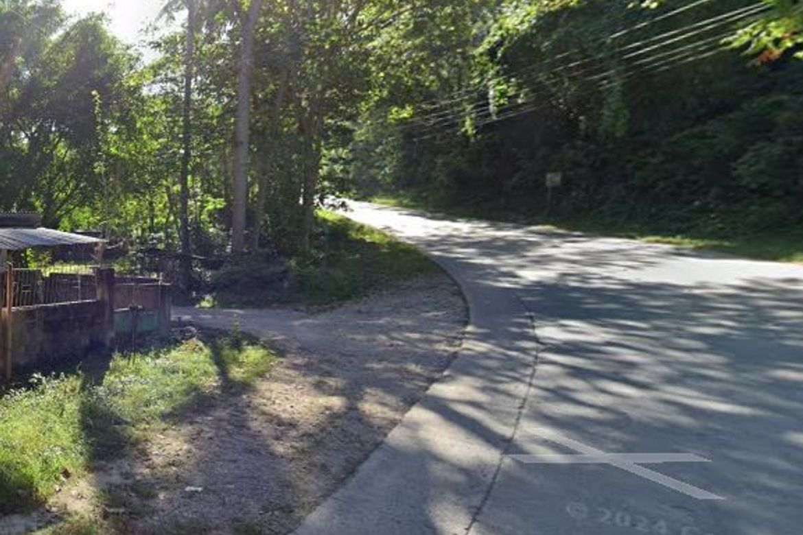 Land for Sale in Mambago-A, Samal, Davao del Norte – photo 2