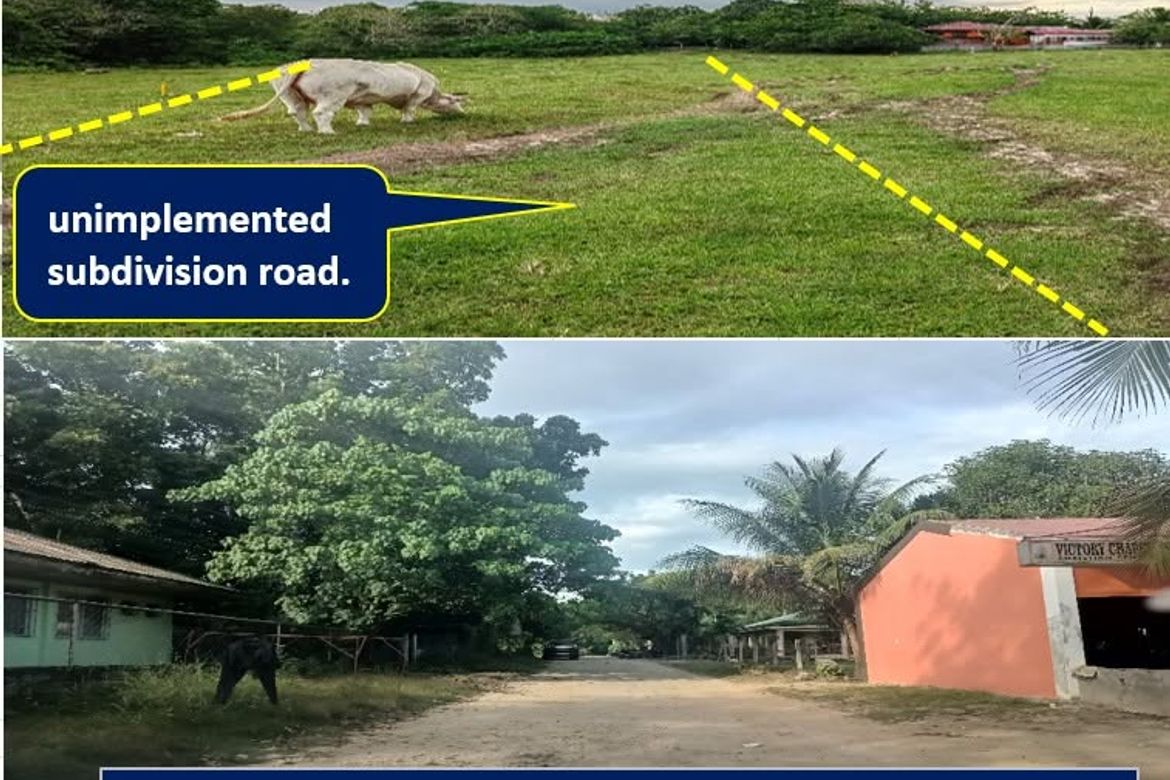 Land for Sale in Mambago-A, Samal, Davao del Norte – photo 2