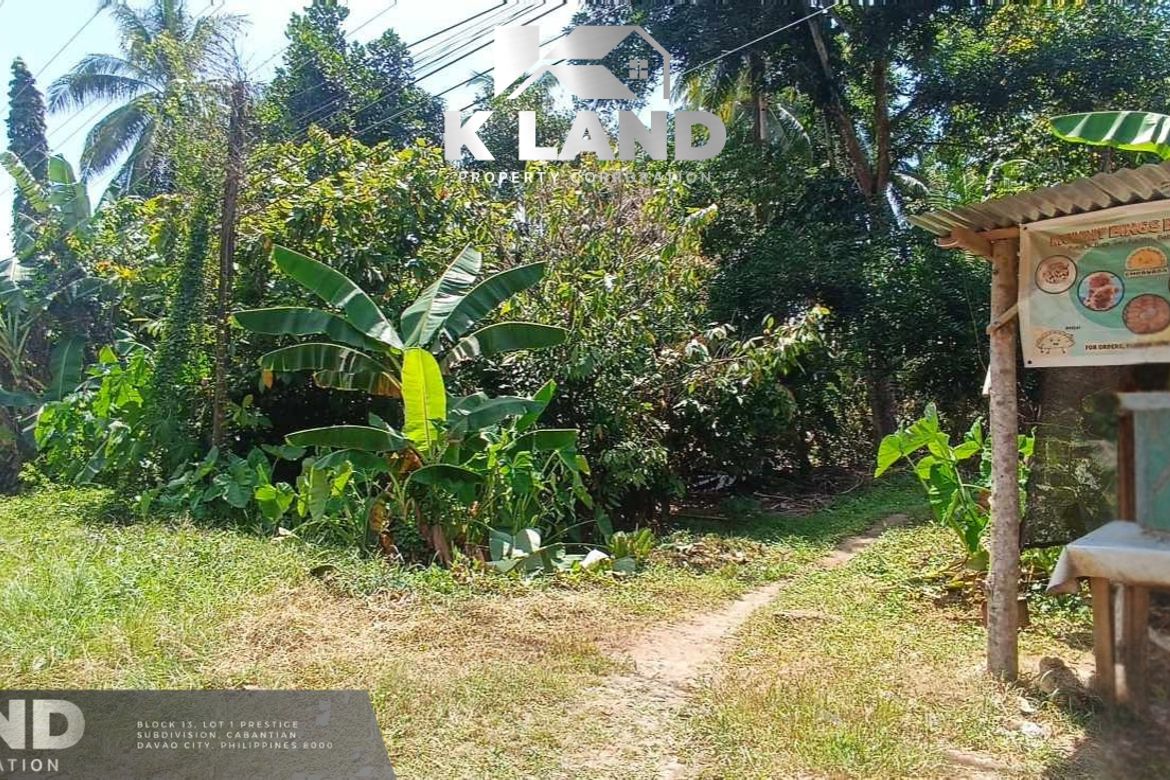 Land for Sale in Mambago-A, Samal, Davao del Norte – photo 4
