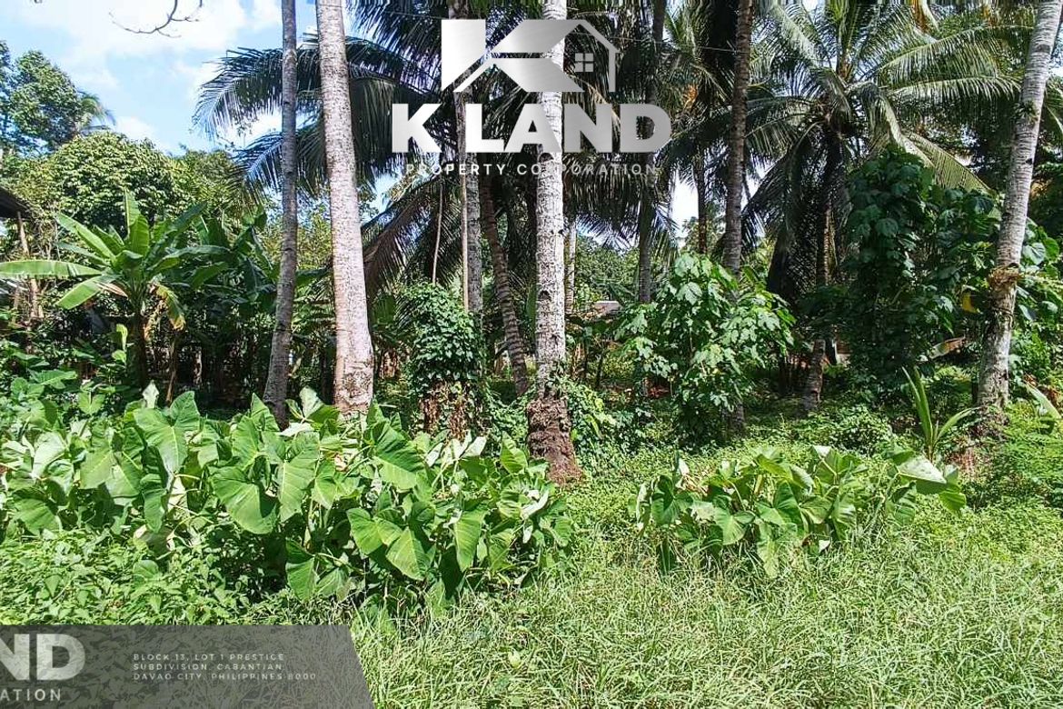 Land for Sale in Mambago-B, Samal, Davao del Norte – photo 2