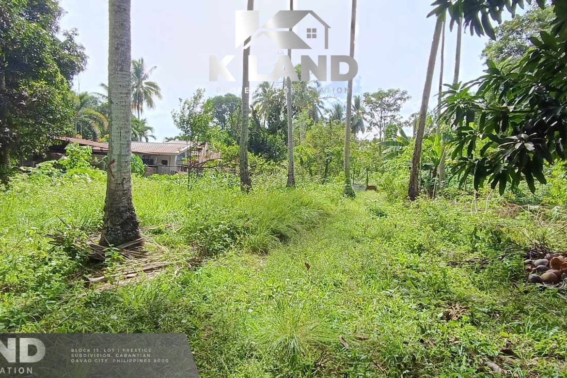 Land for Sale in Mambago-B, Samal, Davao del Norte – photo 3