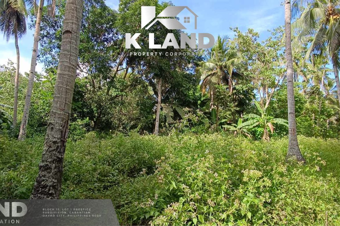Land for Sale in Mambago-B, Samal, Davao del Norte – photo 4