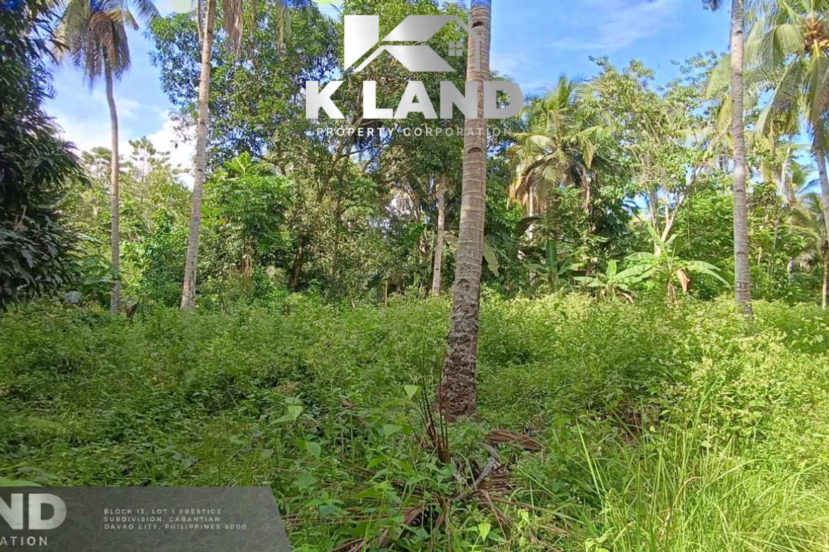 Land for Sale in Mambago-B, Samal, Davao del Norte – photo 6