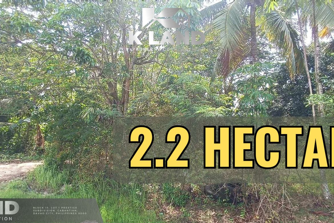 Land for Sale in Mambago-B, Samal, Davao del Norte