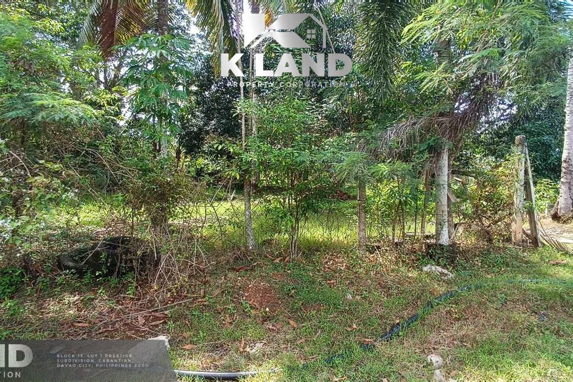 Land for Sale in Mambago-B, Samal, Davao del Norte – photo 2