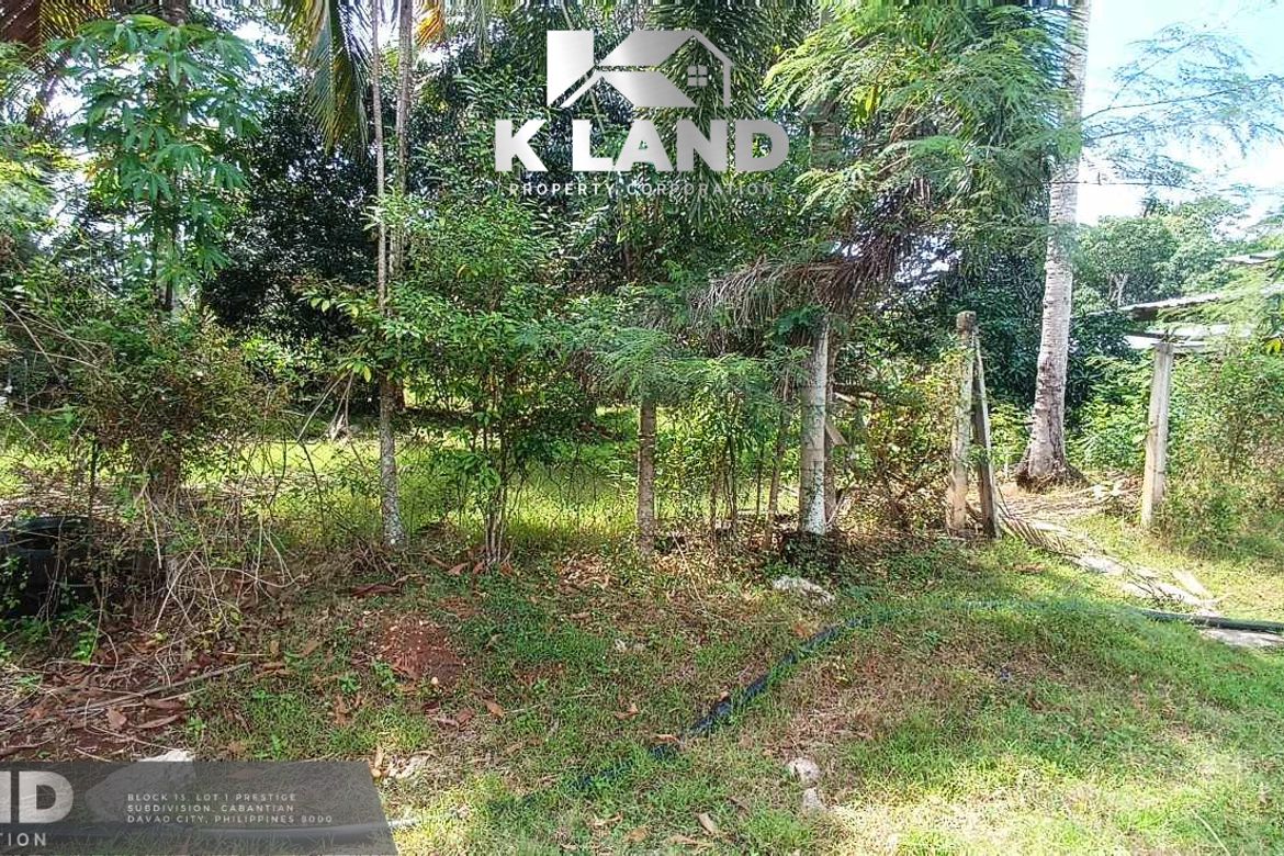 Land for Sale in Mambago-B, Samal, Davao del Norte – photo 3