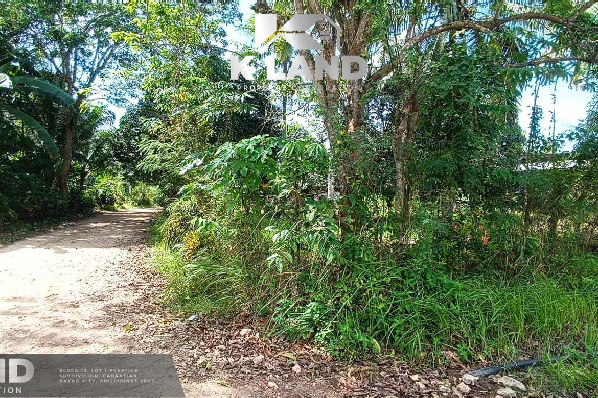 Land for Sale in Mambago-B, Samal, Davao del Norte – photo 4