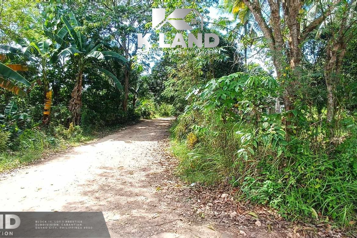 Land for Sale in Mambago-B, Samal, Davao del Norte – photo 5