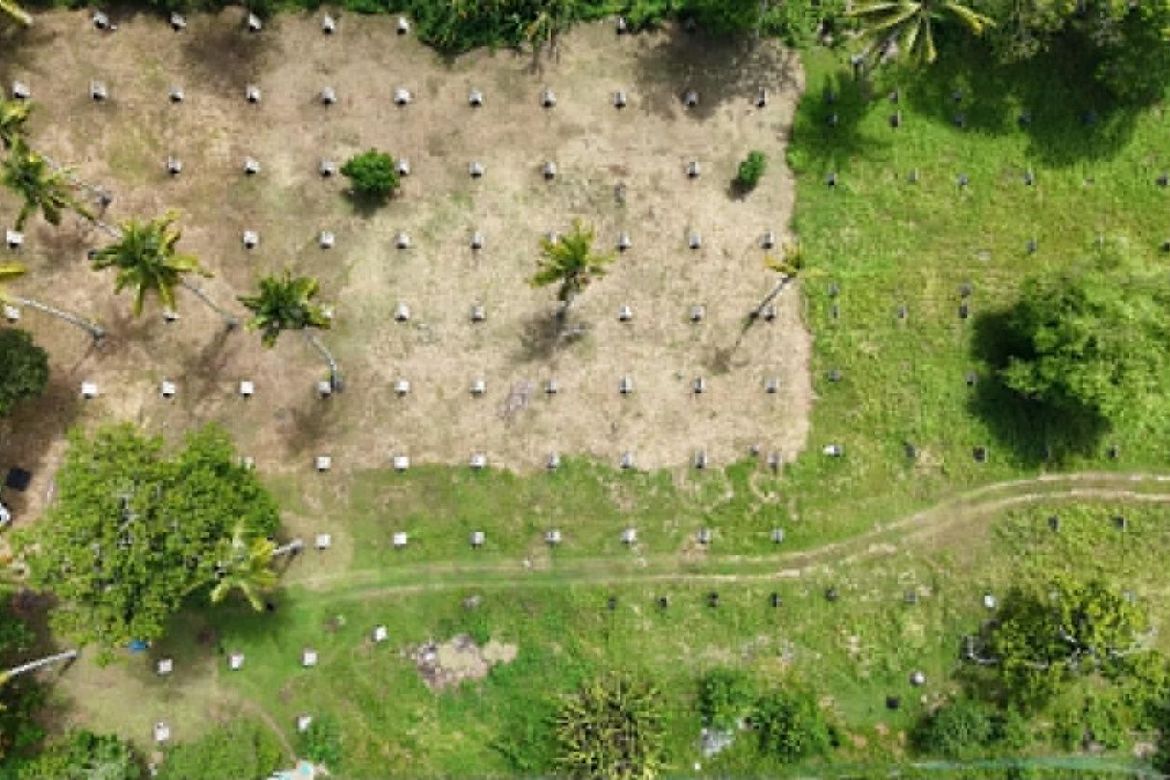 Land for Sale in Mambago-B, Samal, Davao del Norte – photo 2