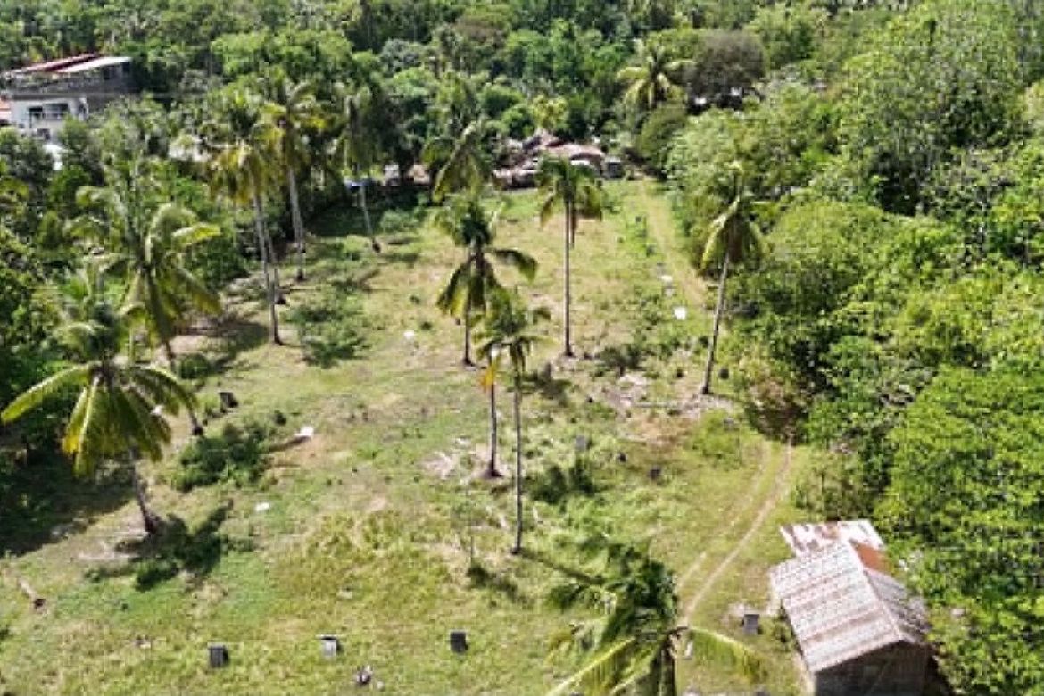 Land for Sale in Mambago-B, Samal, Davao del Norte – photo 4