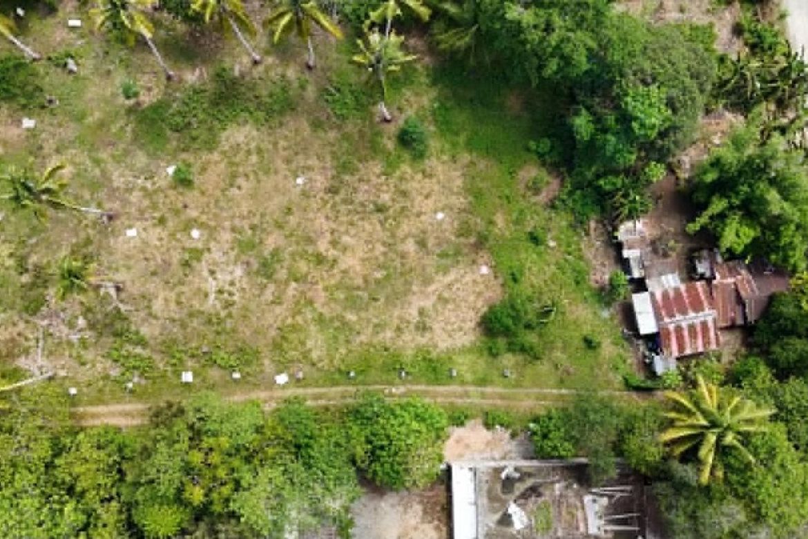 Land for Sale in Mambago-B, Samal, Davao del Norte – photo 5