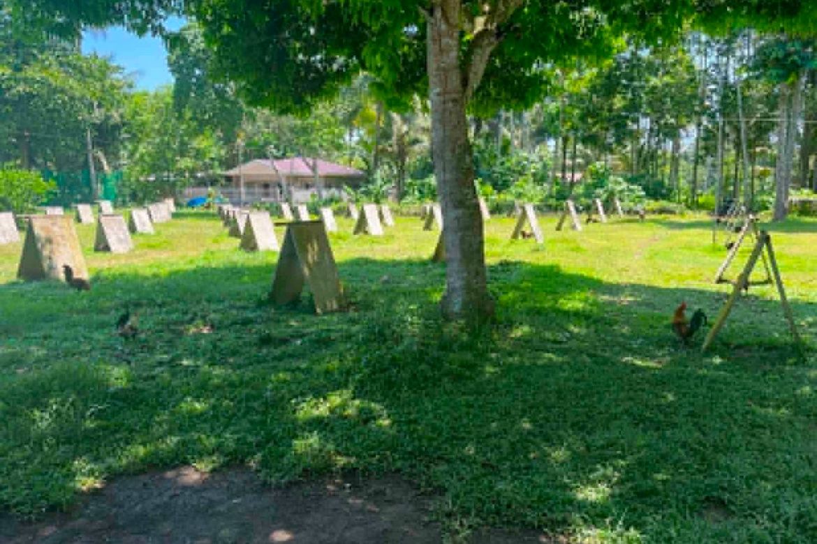 Land for Sale in Mambago-B, Samal, Davao del Norte – photo 6