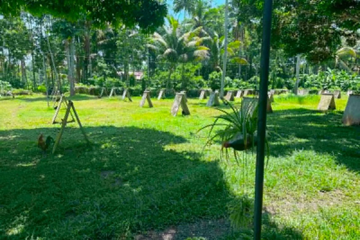 Land for Sale in Mambago-B, Samal, Davao del Norte – photo 7