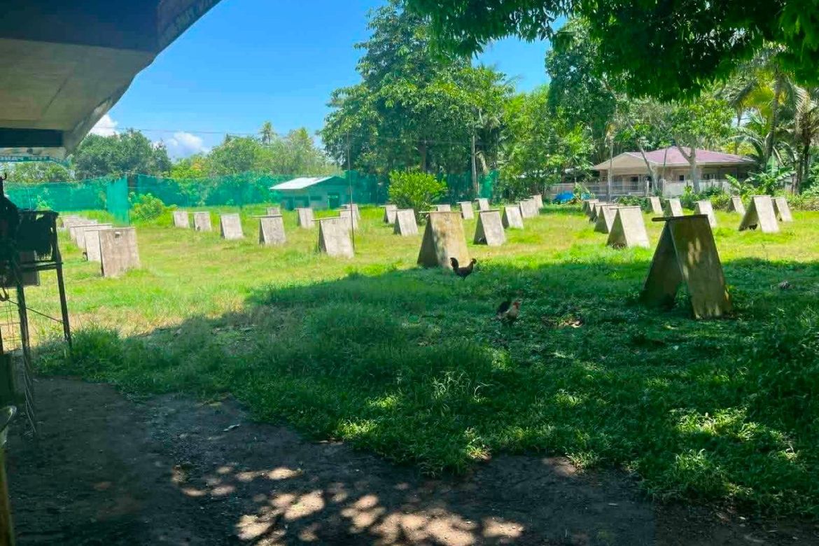 Land for Sale in Mambago-B, Samal, Davao del Norte – photo 8