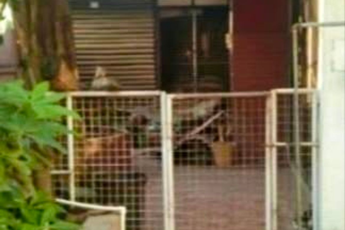 Land for Sale in Mambaling, Cebu City, Cebu – photo 6