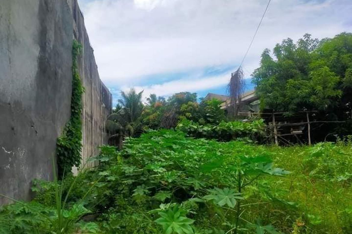 Land for Sale in Mambaling, Cebu City, Cebu – photo 5