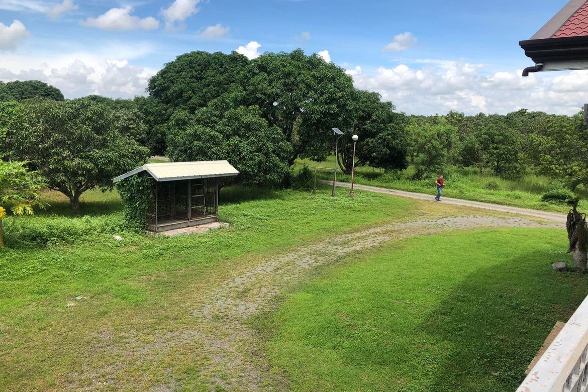 Land for Sale in Mambangnan, San Leonardo, Nueva Ecija