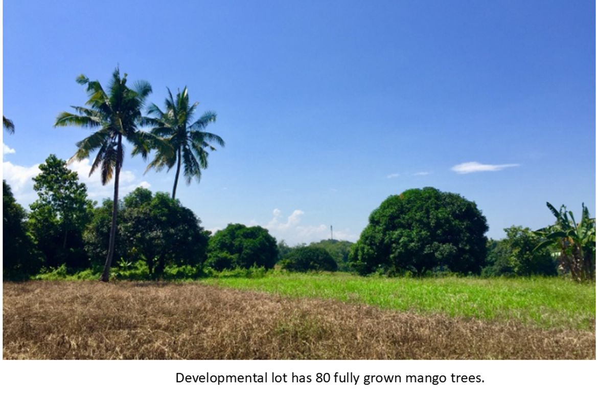 Land for Sale in Mambatangan, Manolo Fortich, Bukidnon