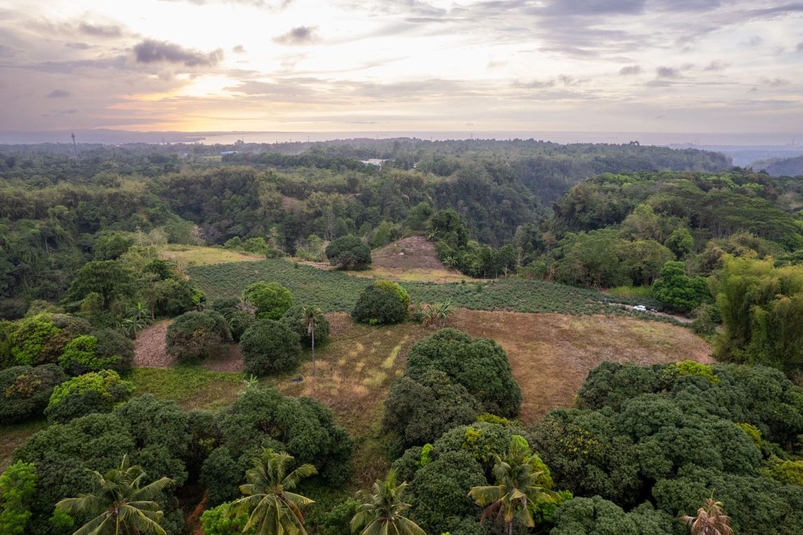 Land for Sale in Mambatangan, Manolo Fortich, Bukidnon – photo 8
