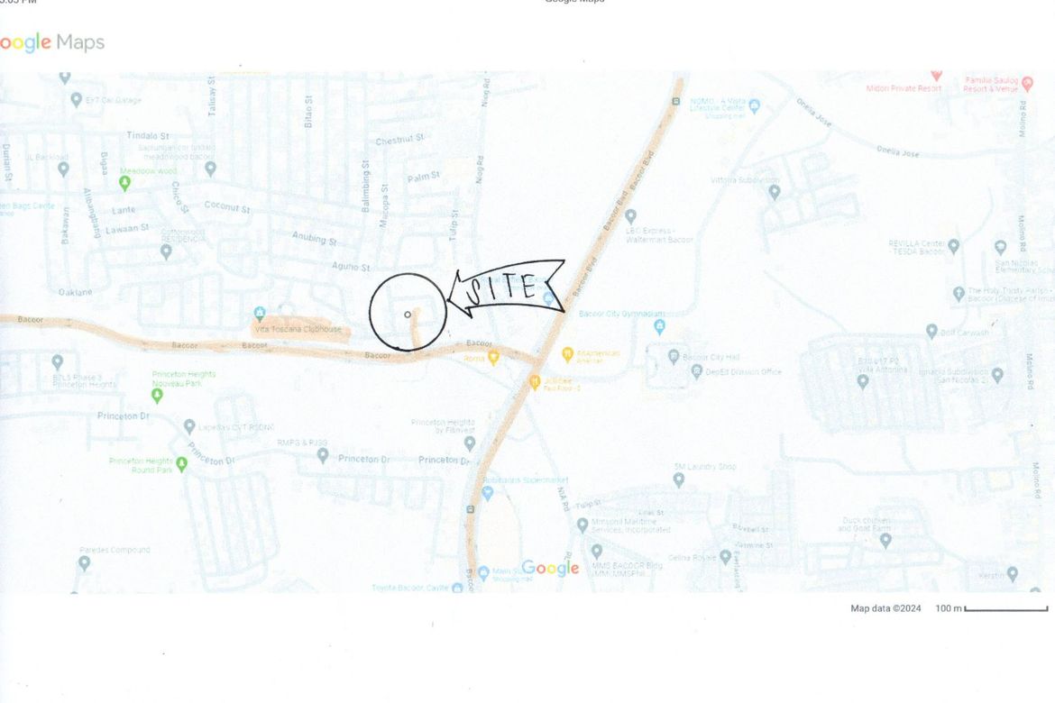 Land for Sale in Mambog IV, Bacoor, Cavite – photo 5