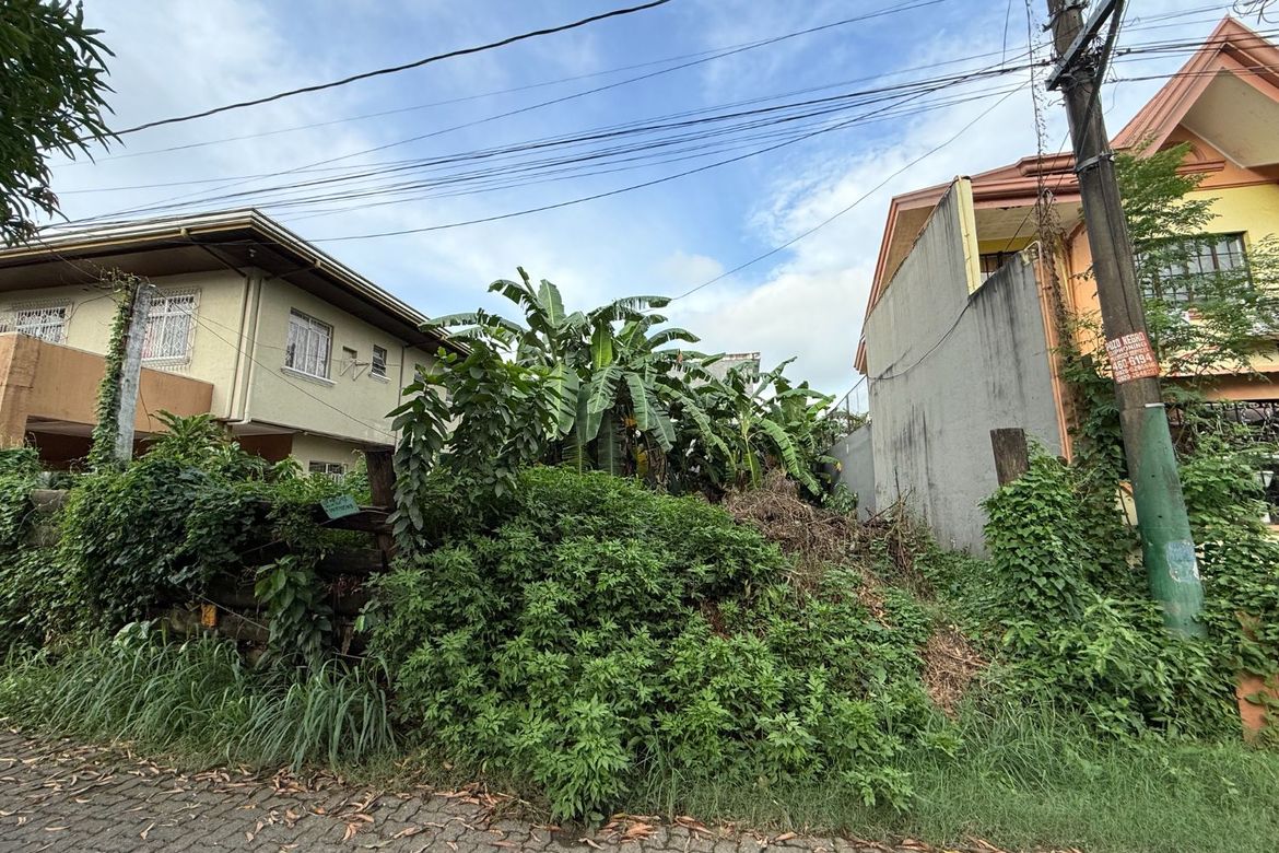 Land for Sale in Mambugan, Antipolo, Rizal