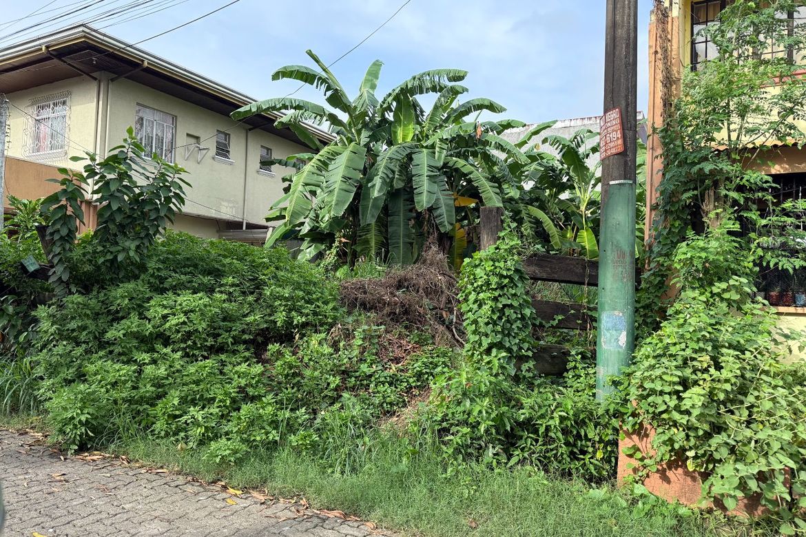 Land for Sale in Mambugan, Antipolo, Rizal – photo 4